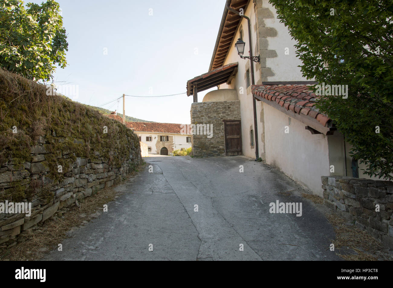 Camino de Santiago Zubiri à Pampelune Banque D'Images