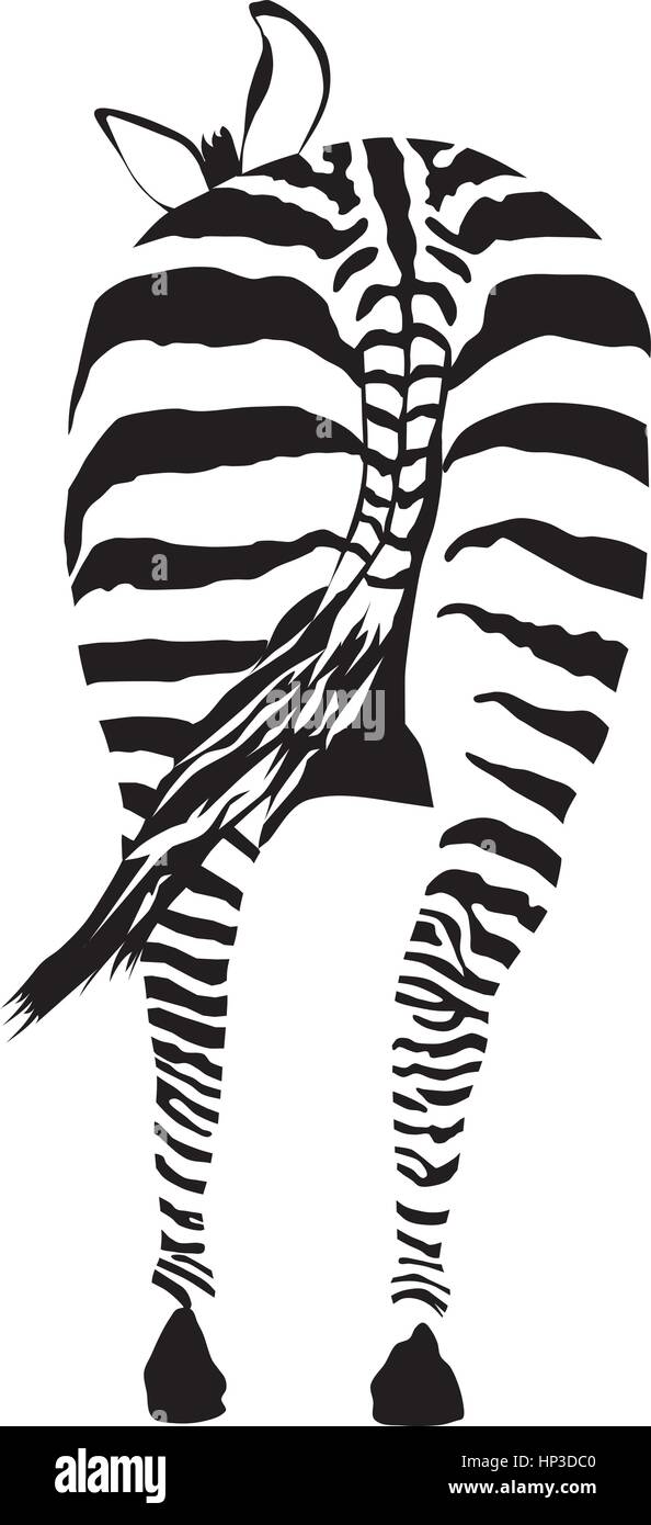Zebra - vector illustration Vue avant, noir et zéro Illustration de Vecteur
