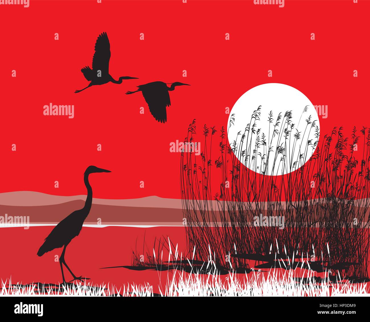 Les hérons illustration sur fond rouge du ciel et de l'eau Illustration de Vecteur