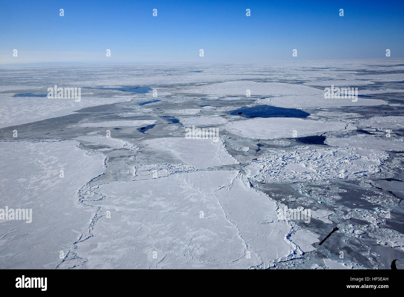La banquise, îles de la Madeleine, golfe du Saint-Laurent, Québec, Canada, Amérique du Nord, vue aérienne en hiver Banque D'Images