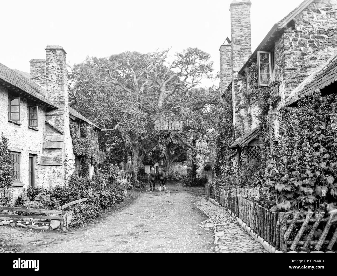 Sur une étroite route de terre entre deux rangées de chalets dans Bassington, Exmoor, prise en octobre 1907. En descendant la route est la figure floue d'un homme monté sur un cheval et un autre leader. Chaque cottage dispose d'un petit jardin devant et sur la gauche est une étroite chaussée pavée. Restauré à partir d'une numérisation haute résolution prises à partir de l'original négatif verre édouardien. Banque D'Images