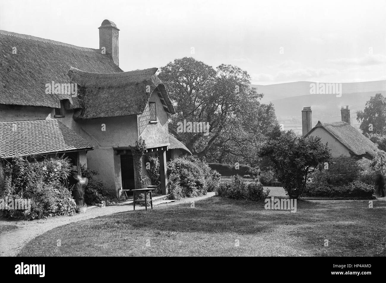 Edwardian photographie montrant des chaumières sur Selworthy vert, Exmoor, prise en octobre 1907. L'extérieur les chalets sont bien approvisionnés avec jardins, arbres, arbustes et de grandes fleurs. À l'entrée de la maison sur la gauche est une dame floue avec un petit chien ou un chat à ses pieds. Une table se dresse sur le livre vert en face du chalet. Restauré à partir d'une numérisation haute résolution prises à partir de l'original négatif verre édouardien. Banque D'Images