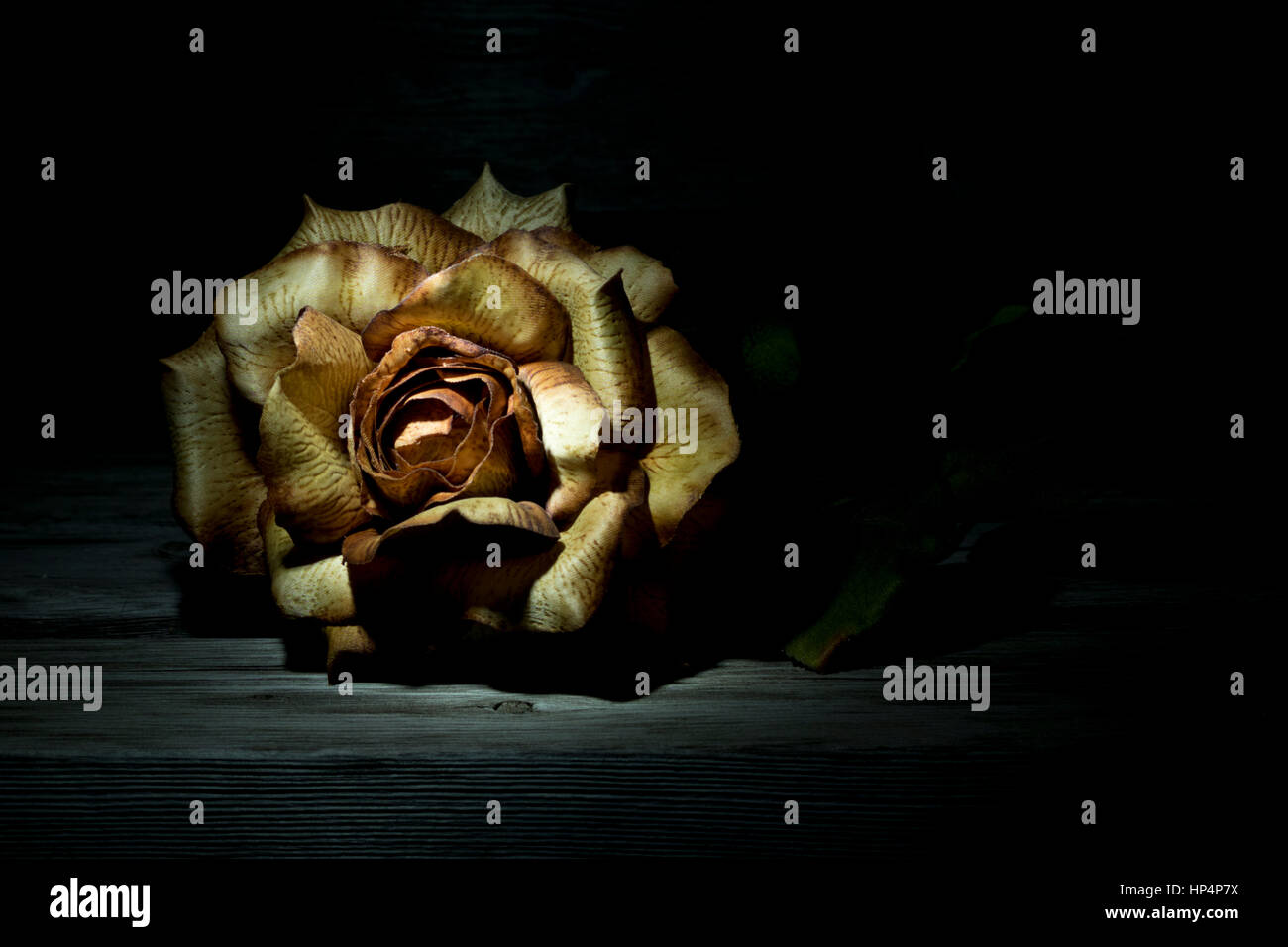 Rose en plastique éclairé par une LED lampe-stylo. Banque D'Images