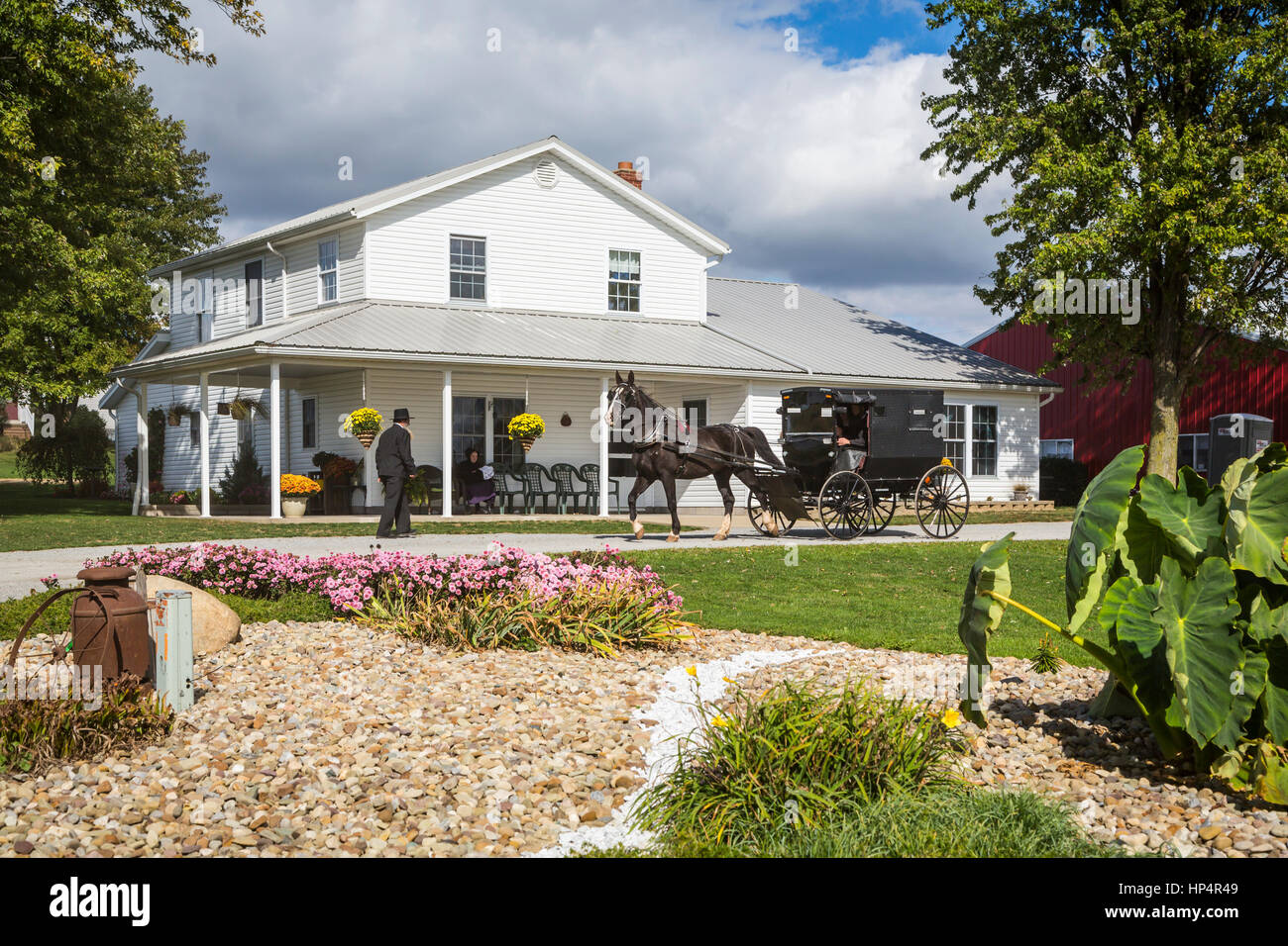 Un Amish farm home à cheval et buggies près de Kidron, Ohio, USA. Banque D'Images