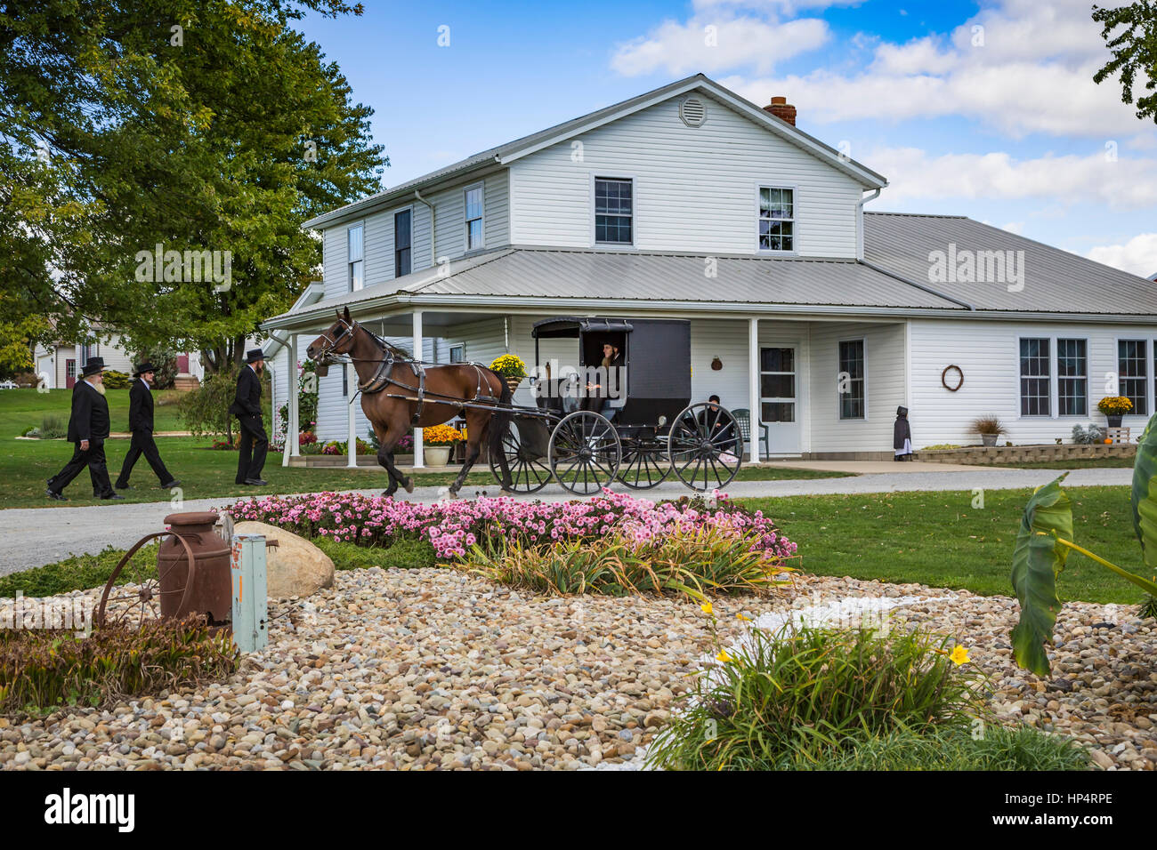 Un Amish farm home à cheval et buggies près de Kidron, Ohio, USA. Banque D'Images