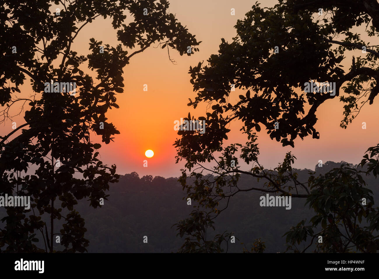 Coucher de soleil sur pied de l'himalaya vu à travers les arbres Banque D'Images