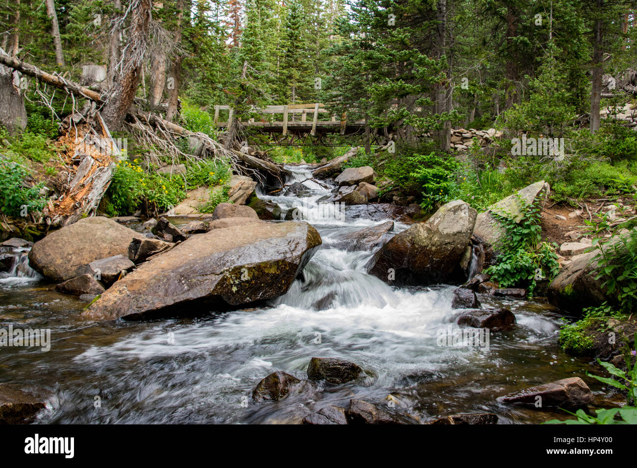 Un beau ruisseau de montagne longue exposition Banque D'Images