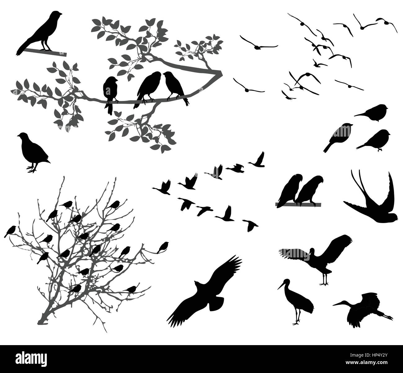 Silhouettes d'oiseaux volant et assis sur les branches Illustration de Vecteur