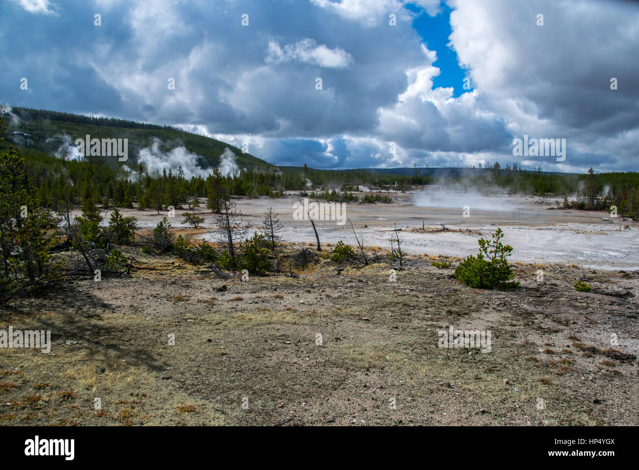 Une vallée géothermique dans le Parc National de Yellowstone Banque D'Images