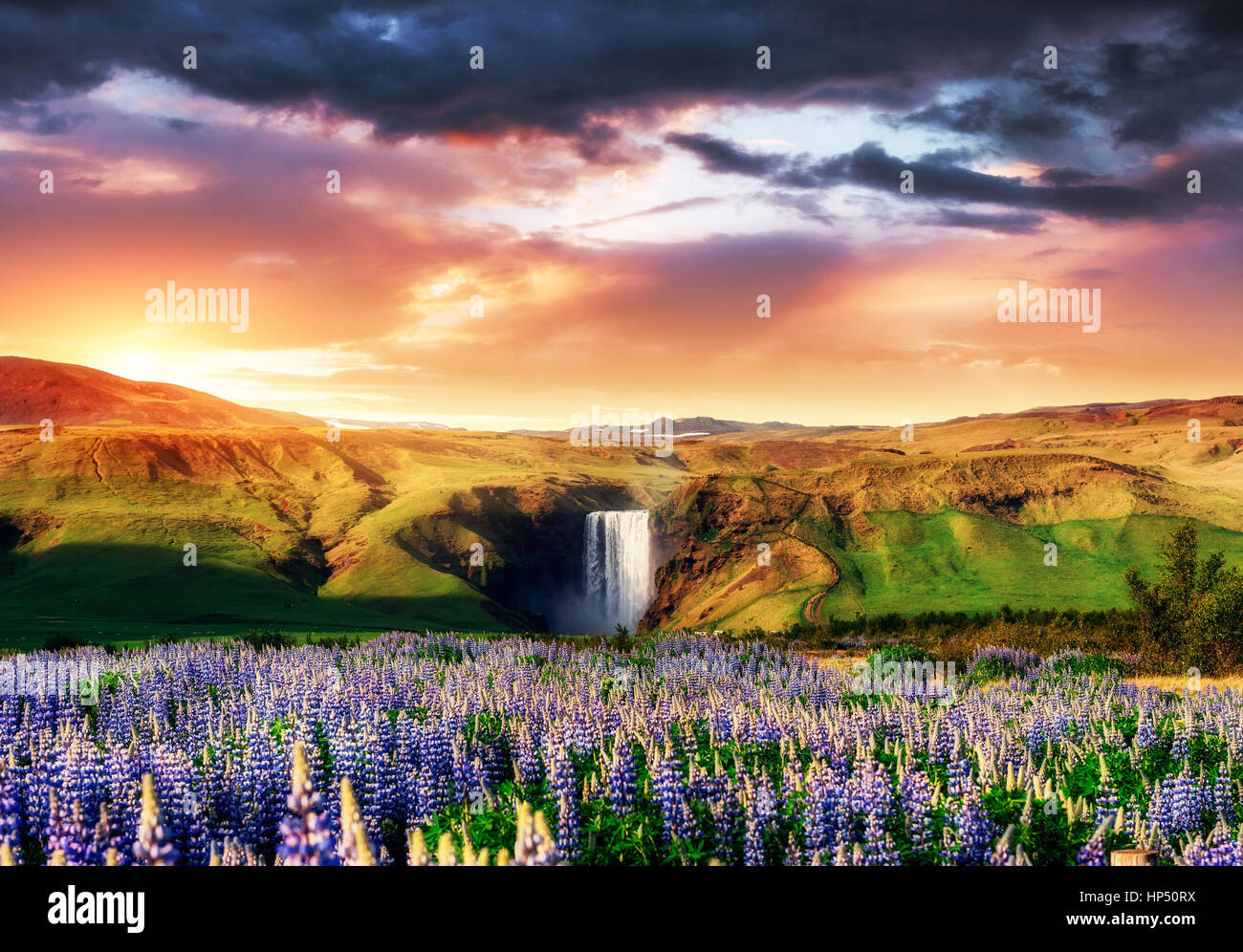 Grande cascade Skogafoss dans sud de l'Islande Banque D'Images