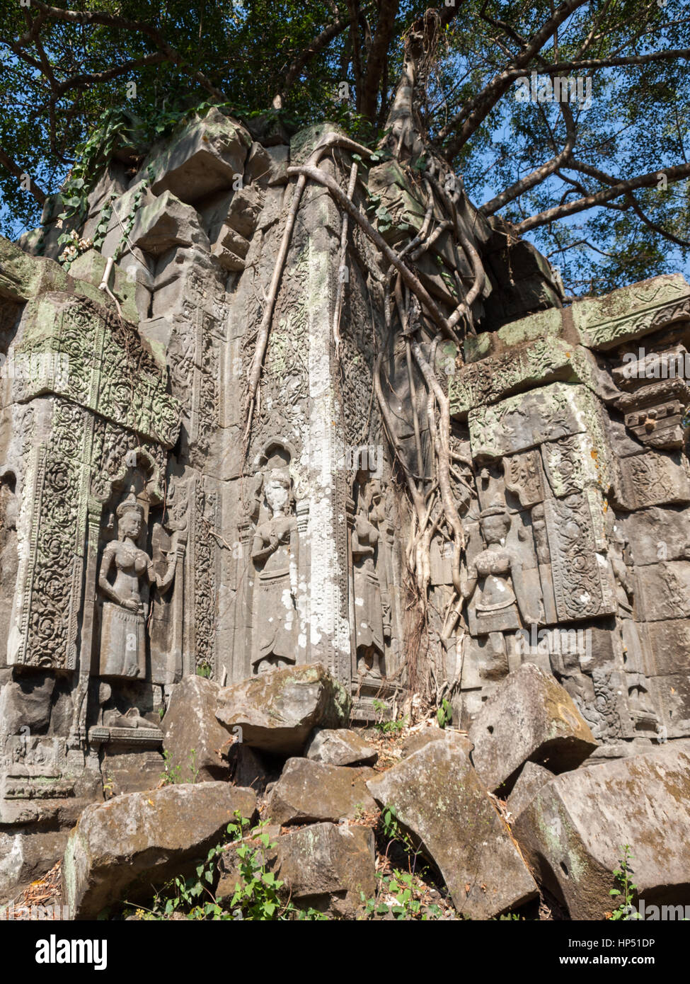 Beng Mealea, Cambodge - un temple tower tenir par des arbres Banque D'Images