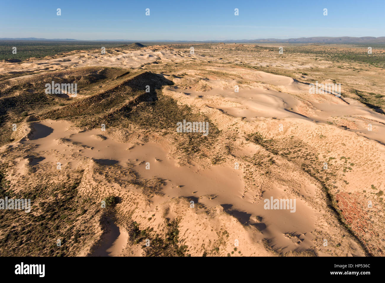 Vue aérienne du massif de dunes de sable dans la région aride du nord du Cap, Afrique du Sud Banque D'Images