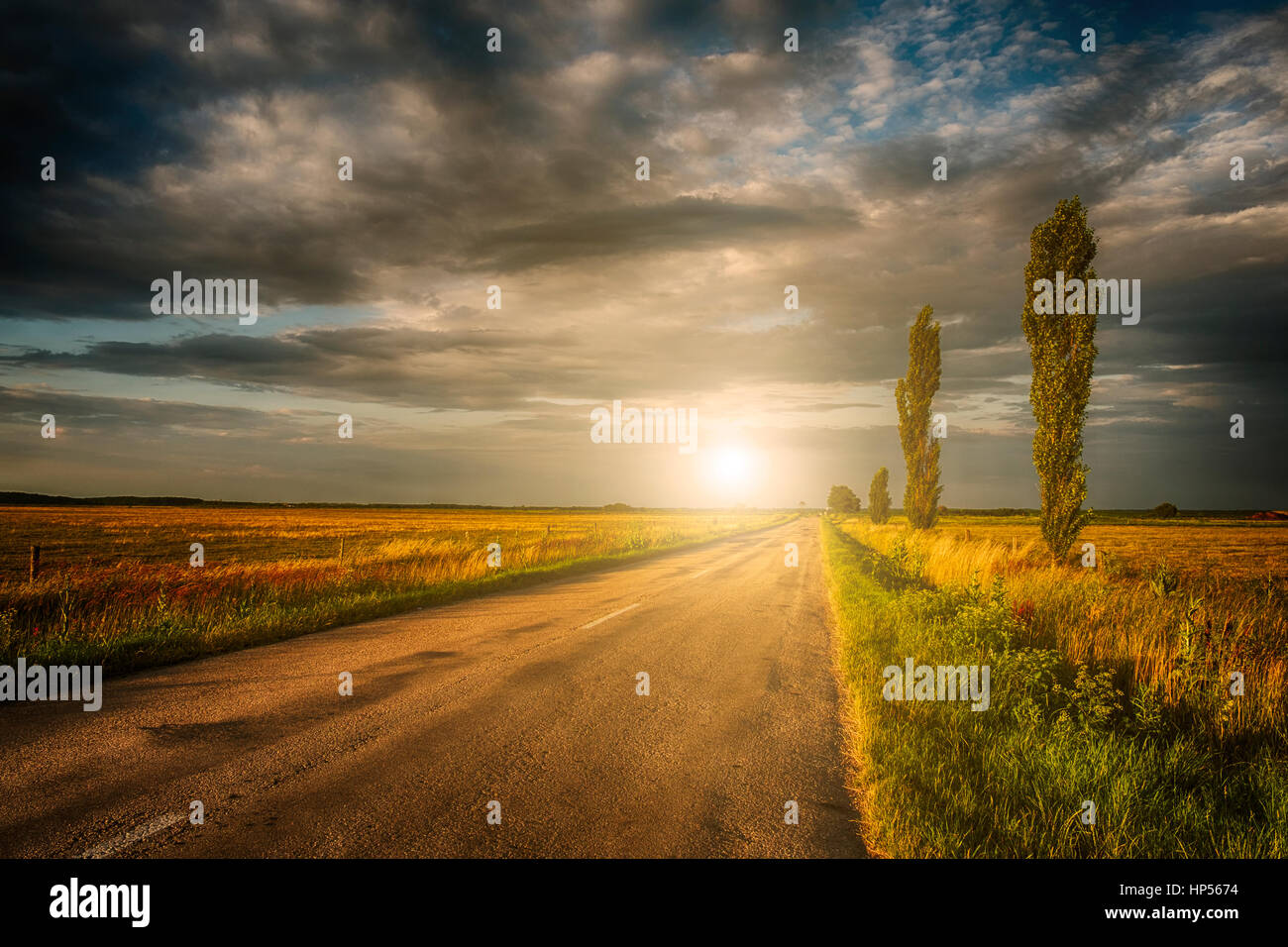 Route d'été dans le coucher du soleil Banque D'Images