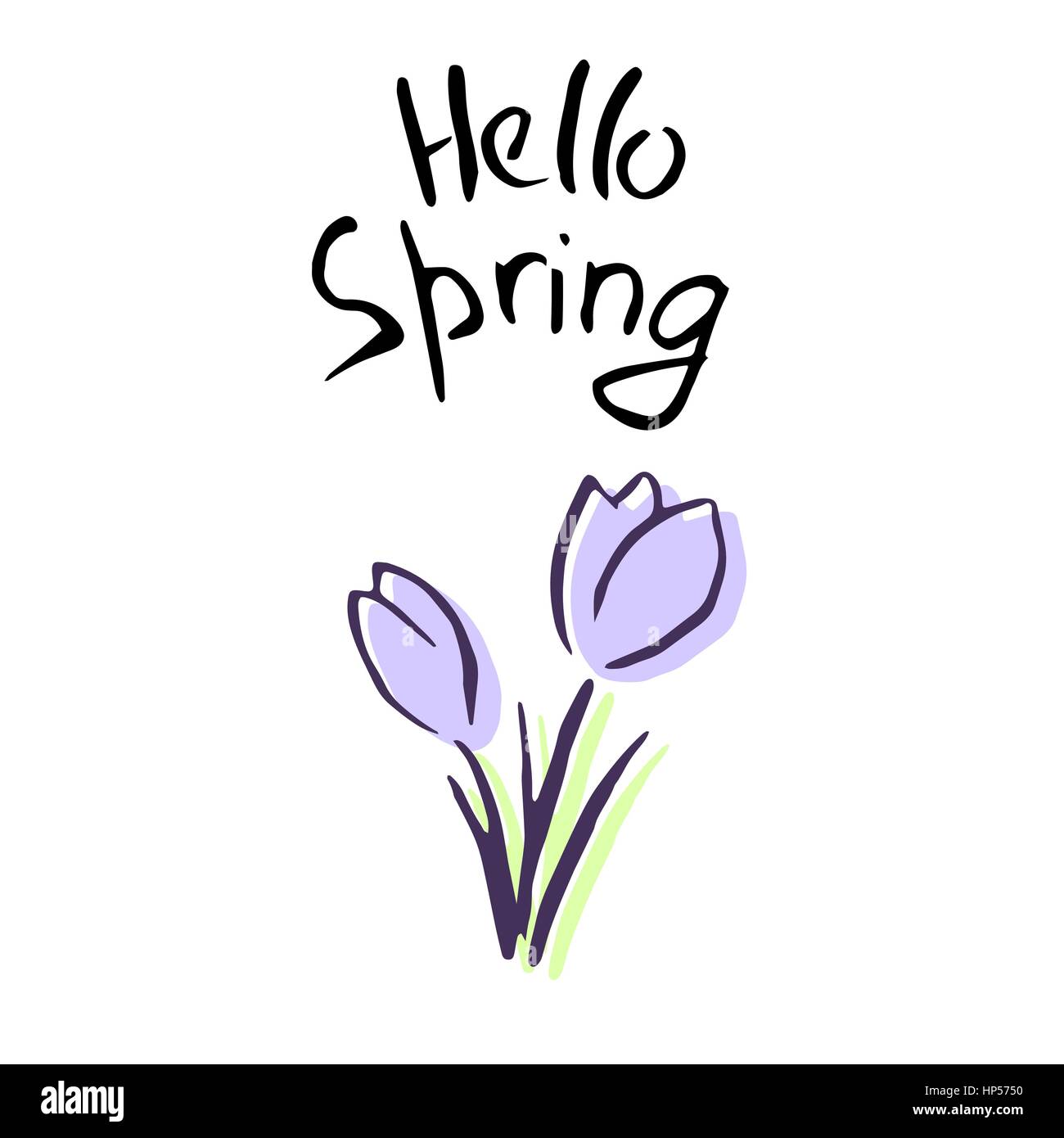 Bonjour Printemps lettrage, fleurs lilas mignon. crocus croquis. Faites à la main. Pinceau. Pour Poster, Publicité, cartes postales, estampes, textile, bannière, web, de Illustration de Vecteur