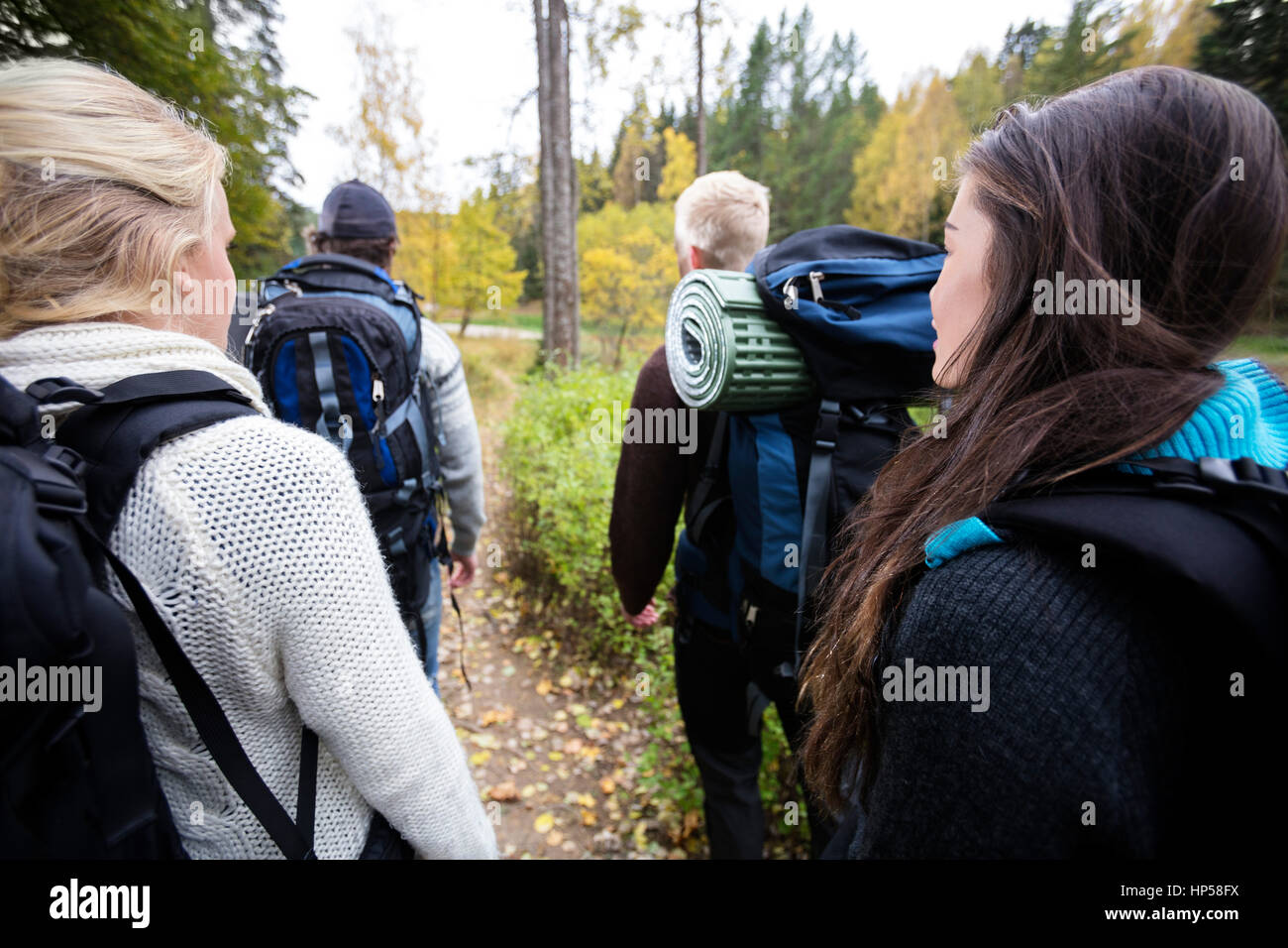 Les randonneurs avec sacs à dos marche sur piste forestière Banque D'Images