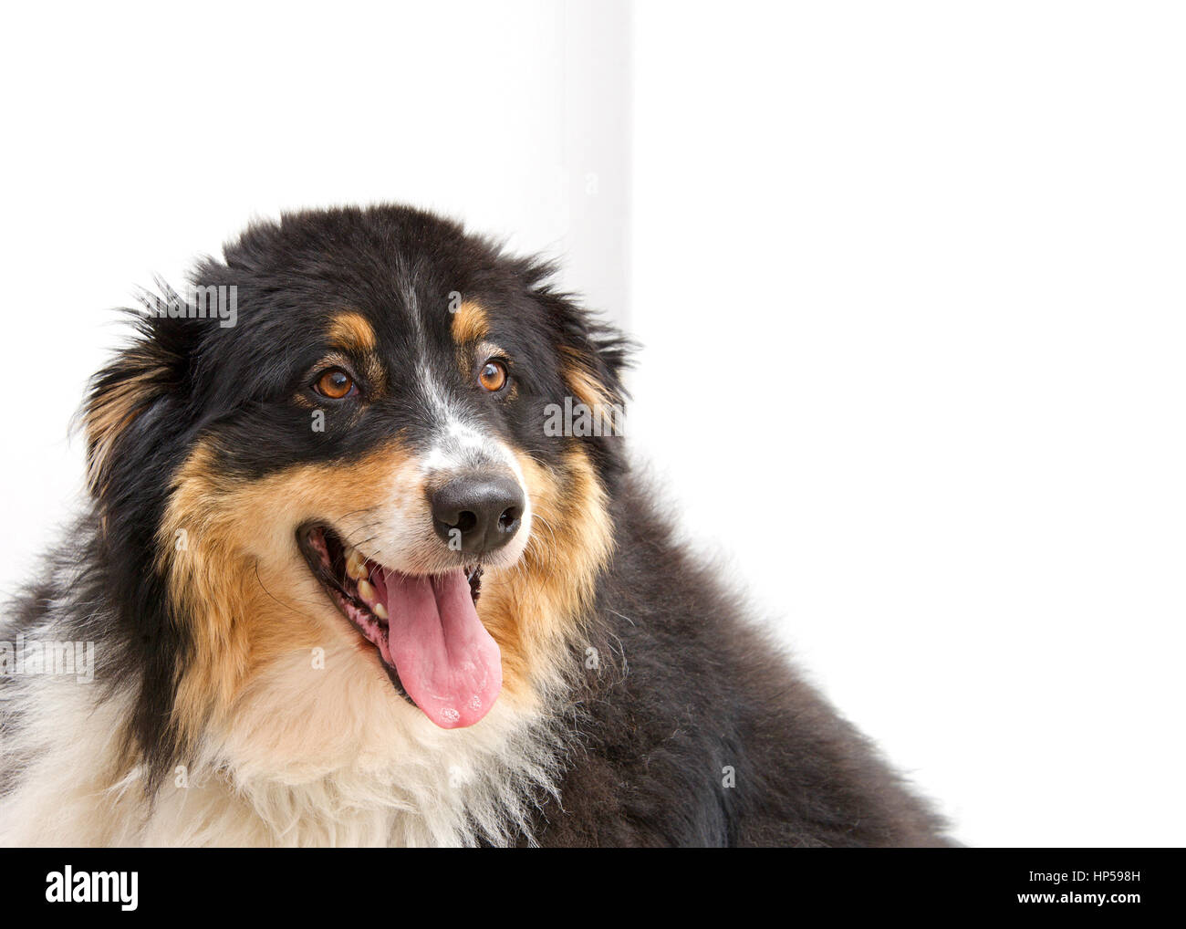 Portrait Dun Grand Embonpoint Obésité Grossièrement Lourd