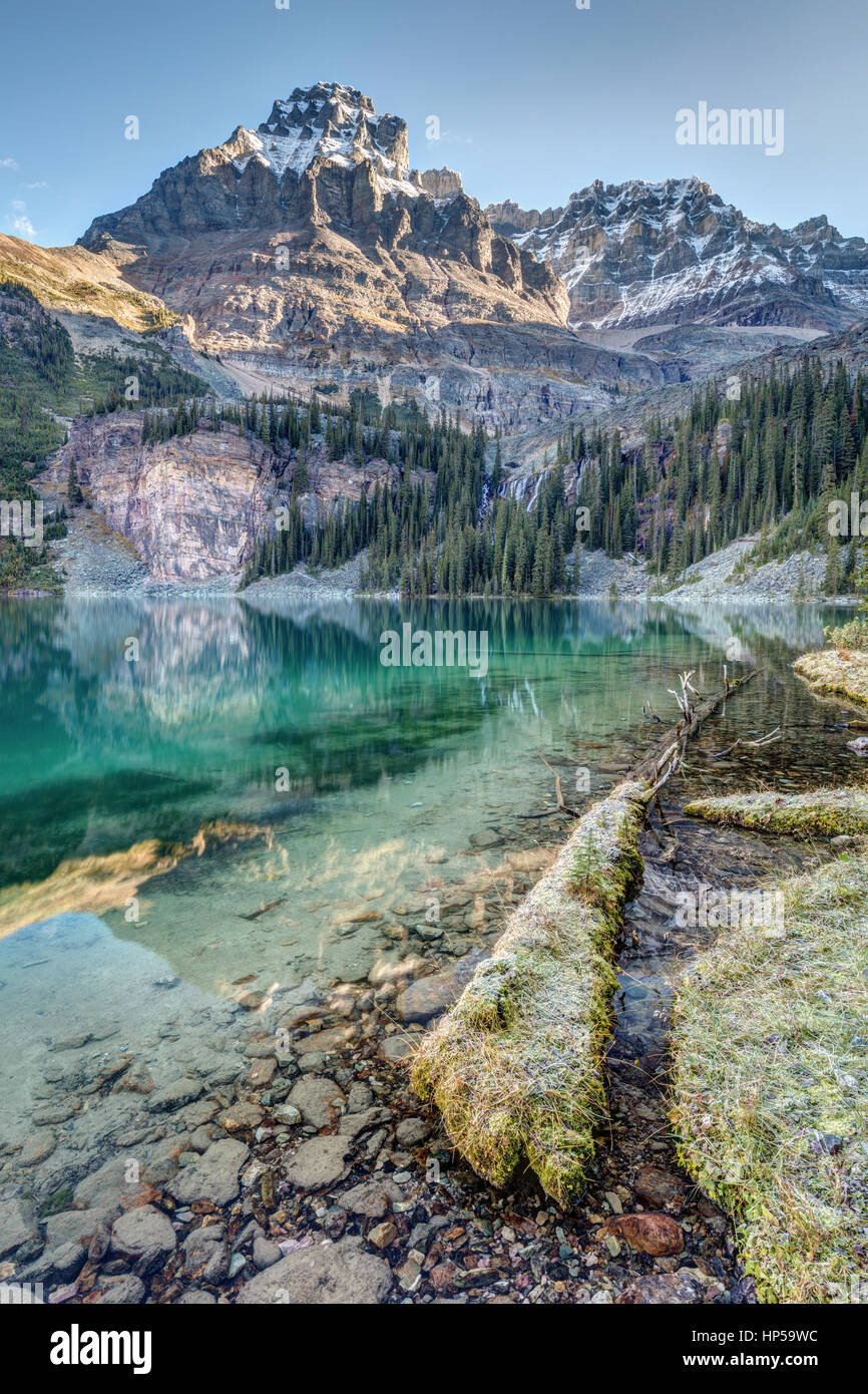 Le lac O'Hara s'élevant sur la rive pittoresque Mont Huber. Sur un matin froid et clair dans le parc national Yoho, en Colombie-Britannique, Canada. Banque D'Images