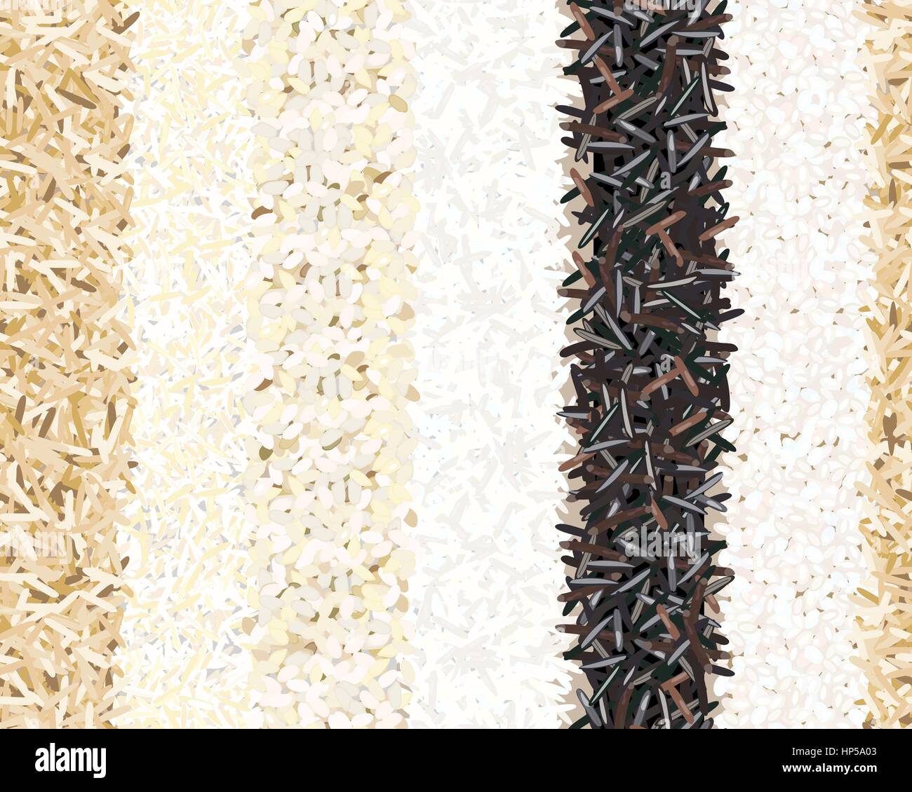 Différents types de riz motif transparent. Sauvages, Basmati, jasmin, long, brun, arborio sushi. Six rayures. pour poster, la cuisine, l'art culinaire, estampes, texte Illustration de Vecteur