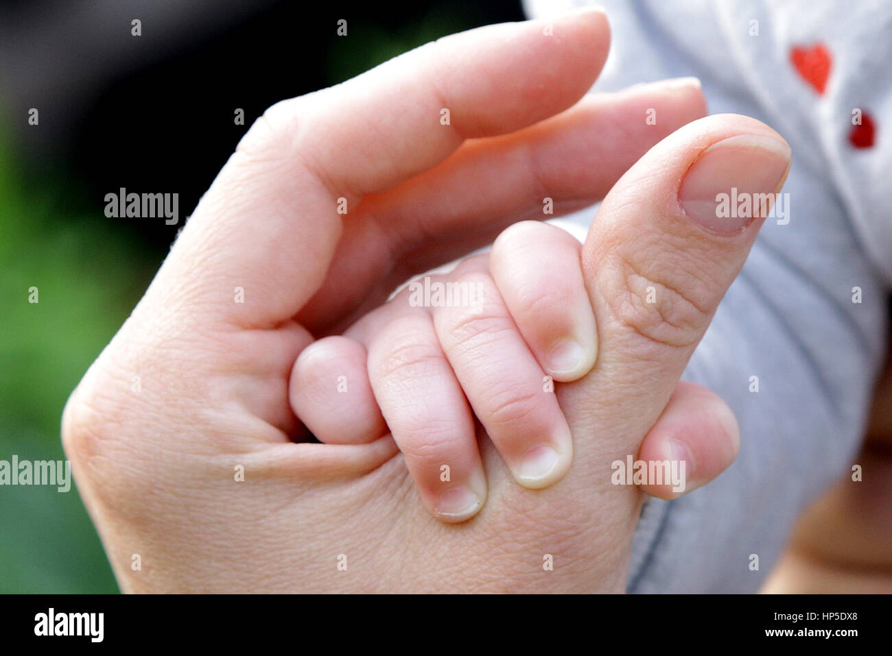 Bébé de 6 mois part funny mère père holding nature Banque D'Images