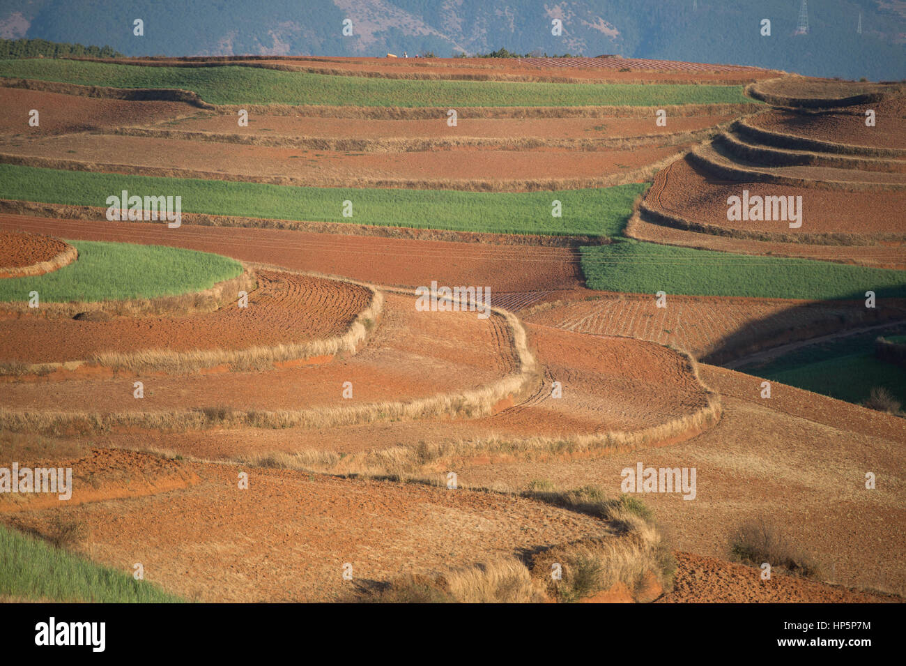 Dongchuan. Feb 17, 2017. Photo prise le 17 février 2017 montre la terre rouge terrasses dans Hongtudi Ville de Dongchuan à Kunming, capitale du District du sud-ouest de la province chinoise du Yunnan. Situé principalement à une altitude entre 1 800 et 2 600 mètres, la terrasse est de couleur brun-rouge vient de sa riche gisement de fer et d'aluminium. Credit : Hu Chao/Xinhua/Alamy Live News Banque D'Images