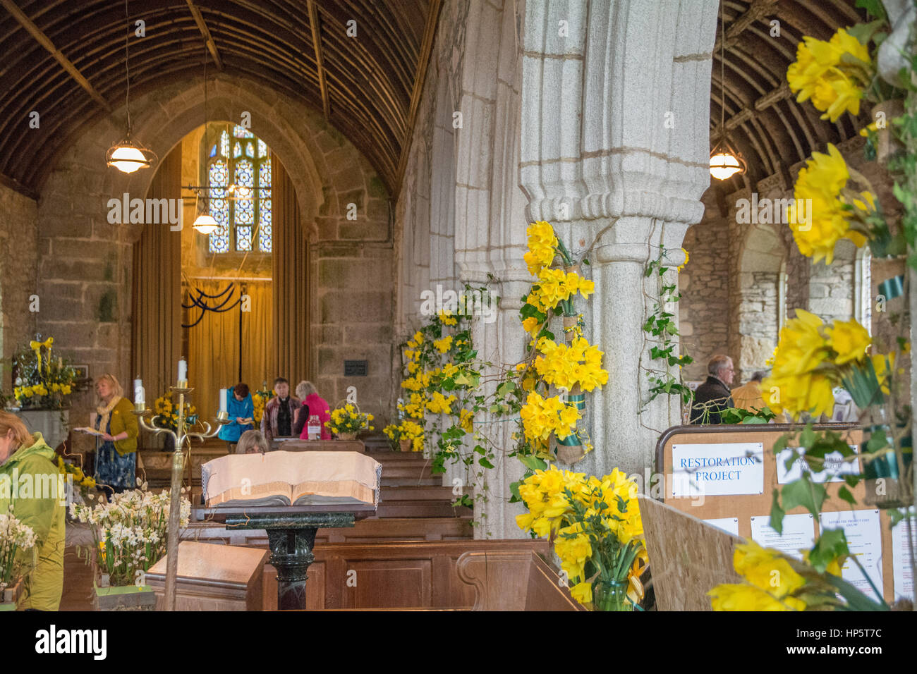 Mawgan, près de Helston, Cornwall, UK. 19 févr. 2017. Le festival de la jonquille au 12e siècle église classée de grade 1. Crédit : Simon Maycock/Alamy Live News Banque D'Images