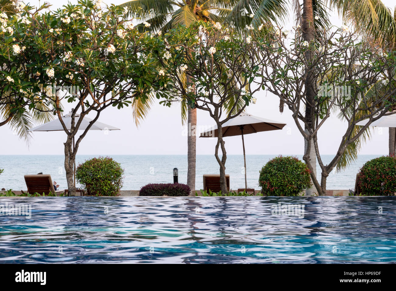 Cocotier et chaise autour d'une piscine extérieure dans l'hôtel resort neary mer et plage - Boost up style de traitement des couleurs. Banque D'Images