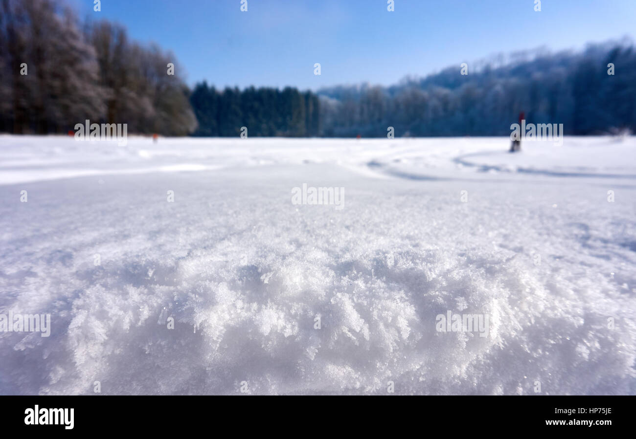 Beau paysage d'hiver avec des arbres blancs et acres et un ciel bleu ensoleillé Banque D'Images