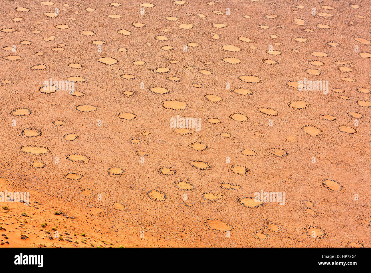 Les cercles de fées, Sesriem, Sossusvlei, Namib-Naukluft National Park, Namibie, Afrique Banque D'Images