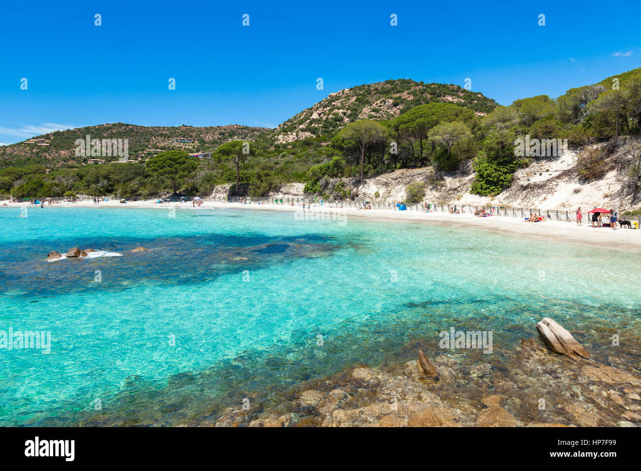 La Plage De Palombaggia En Corse En France Banque Dimages