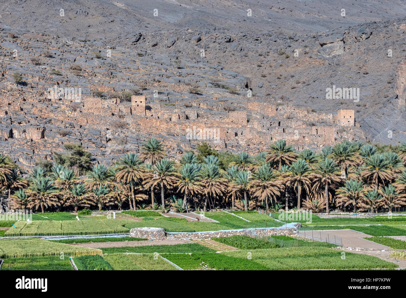 La nécrose de la vallée, Riwaygh, Oman, au Moyen-Orient, en Asie Banque D'Images