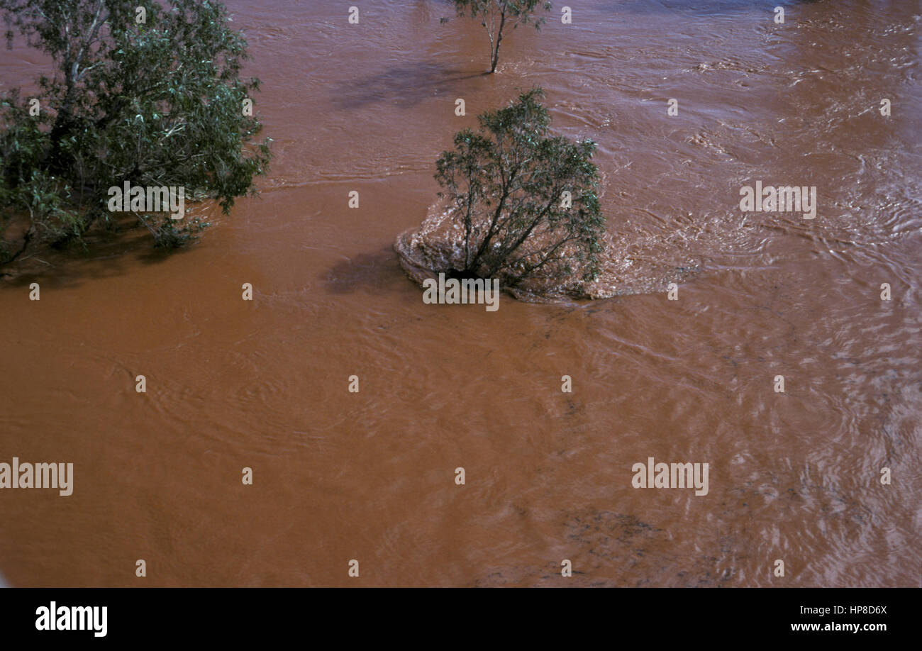 Les eaux de crue, le nord de la Nouvelle-Galles du Sud, Australie Banque D'Images