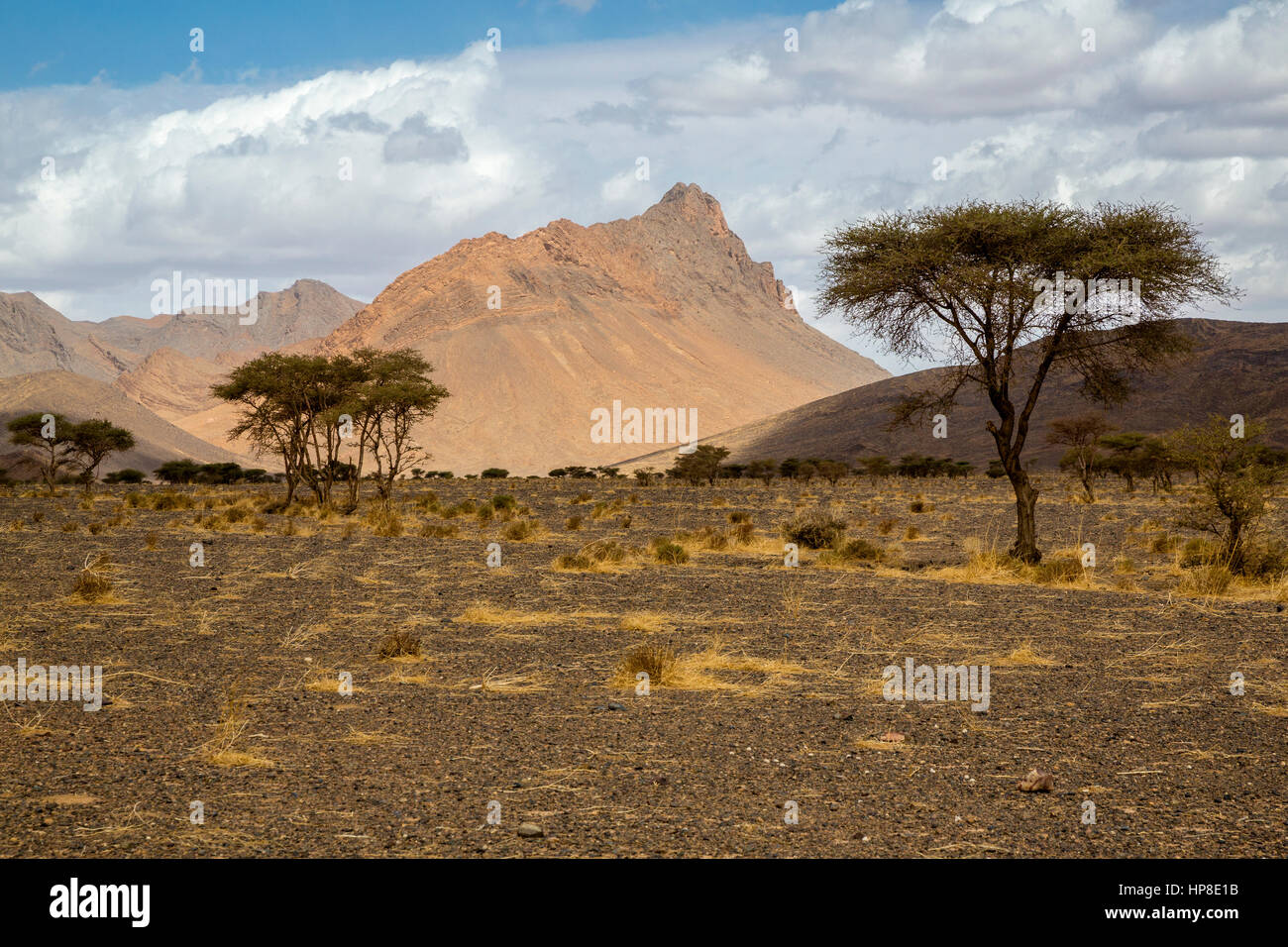 Province de Tinghir, Maroc. Paysage près de Rissani. Banque D'Images