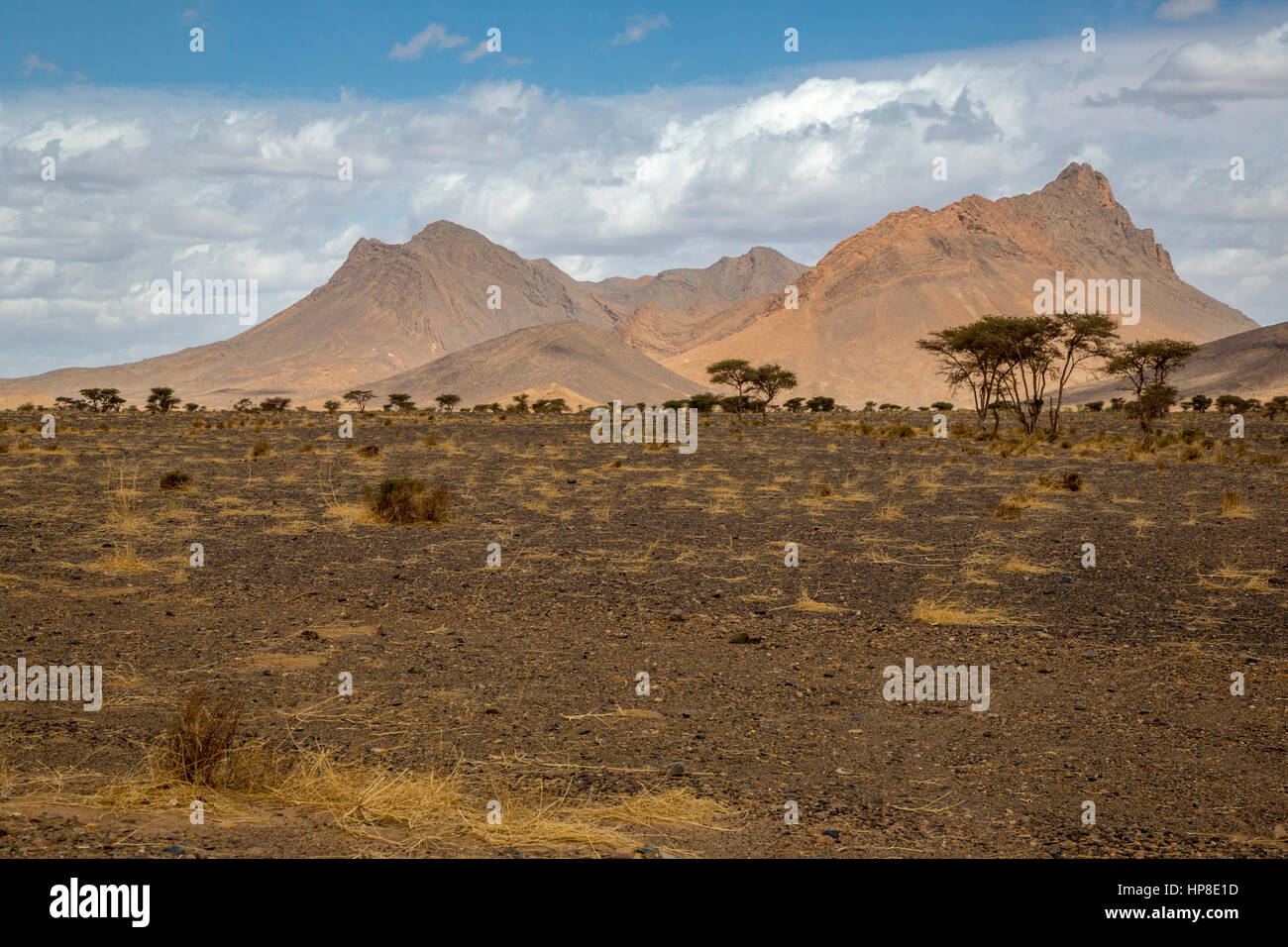 Province de Tinghir, Maroc. Paysage près de Rissani. Banque D'Images