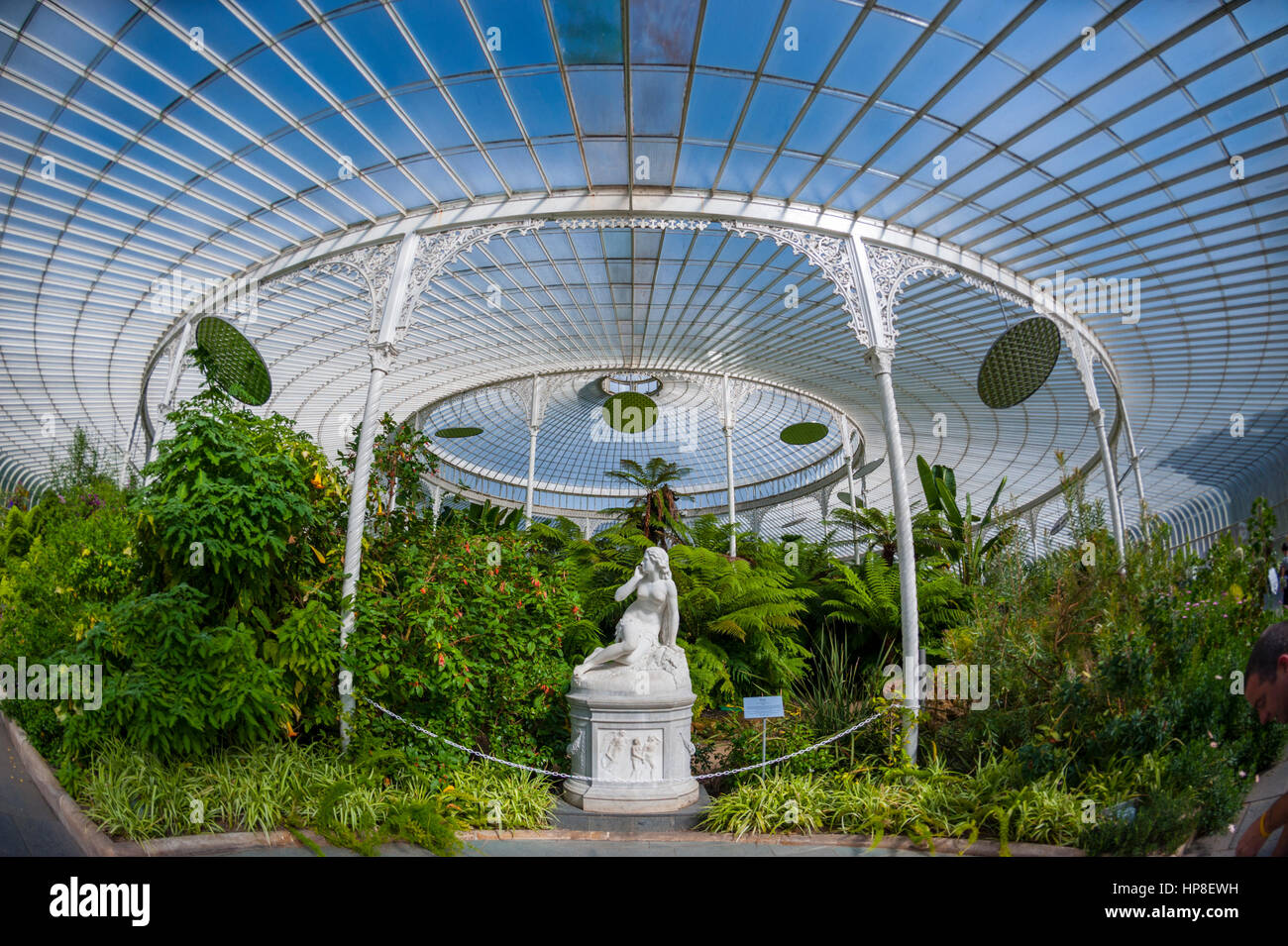 L'intérieur de la grande maison de verre à la Glasgow botanic gardens. Banque D'Images