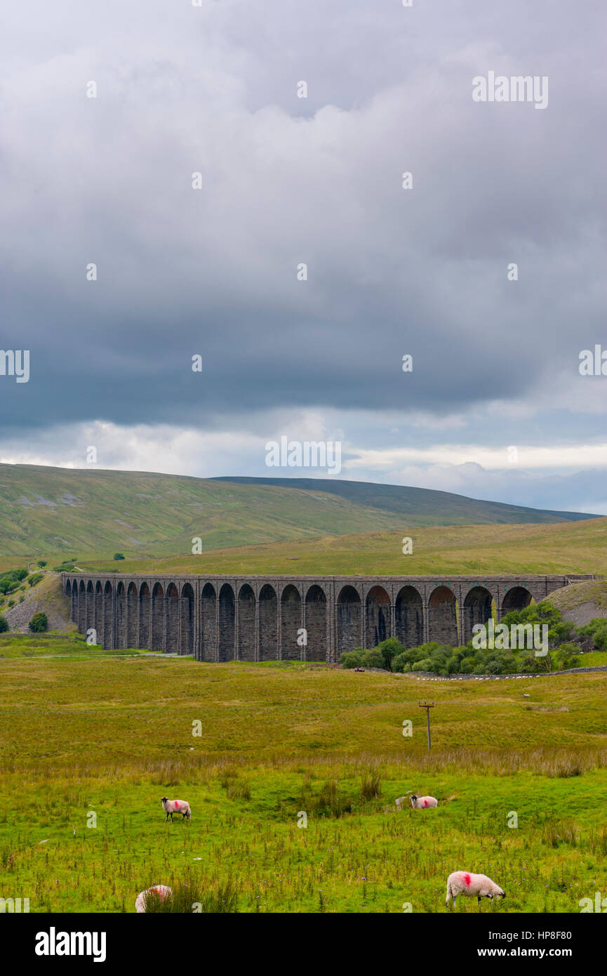 Le viaduc à tête plate ou le viaduc à mousse de Batty porte le Settle-Carlisle Chemin de fer traversant Batty Moss dans la vallée de la rivière Yorkshire du Nord de Ribble Banque D'Images