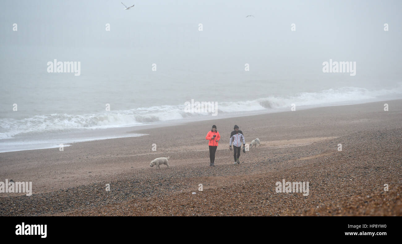 Brighton, Sussex, UK. Feb 20, 2017. Les promeneurs de chiens dans le brouillard sur la plage de Brighton ce matin à des températures allant jusqu'à 17 degrés ont été prévues pour certaines parties de la Grande-Bretagne Crédit : Simon Dack/Alamy Live News Banque D'Images
