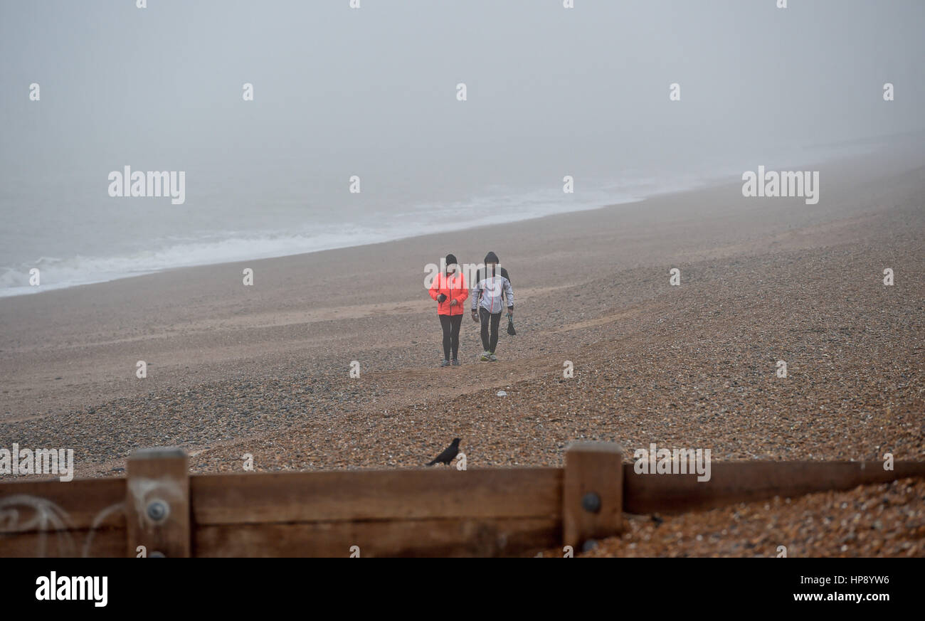 Brighton, Sussex, UK. Feb 20, 2017. Les promeneurs de chiens dans le brouillard sur la plage de Brighton ce matin à des températures allant jusqu'à 17 degrés ont été prévues pour certaines parties de la Grande-Bretagne Crédit : Simon Dack/Alamy Live News Banque D'Images