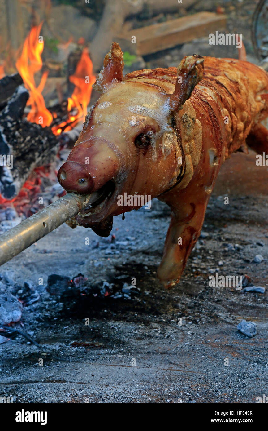 Cochon de lait rôti cuit à la broche Banque de photographies et d'images à  haute résolution - Alamy