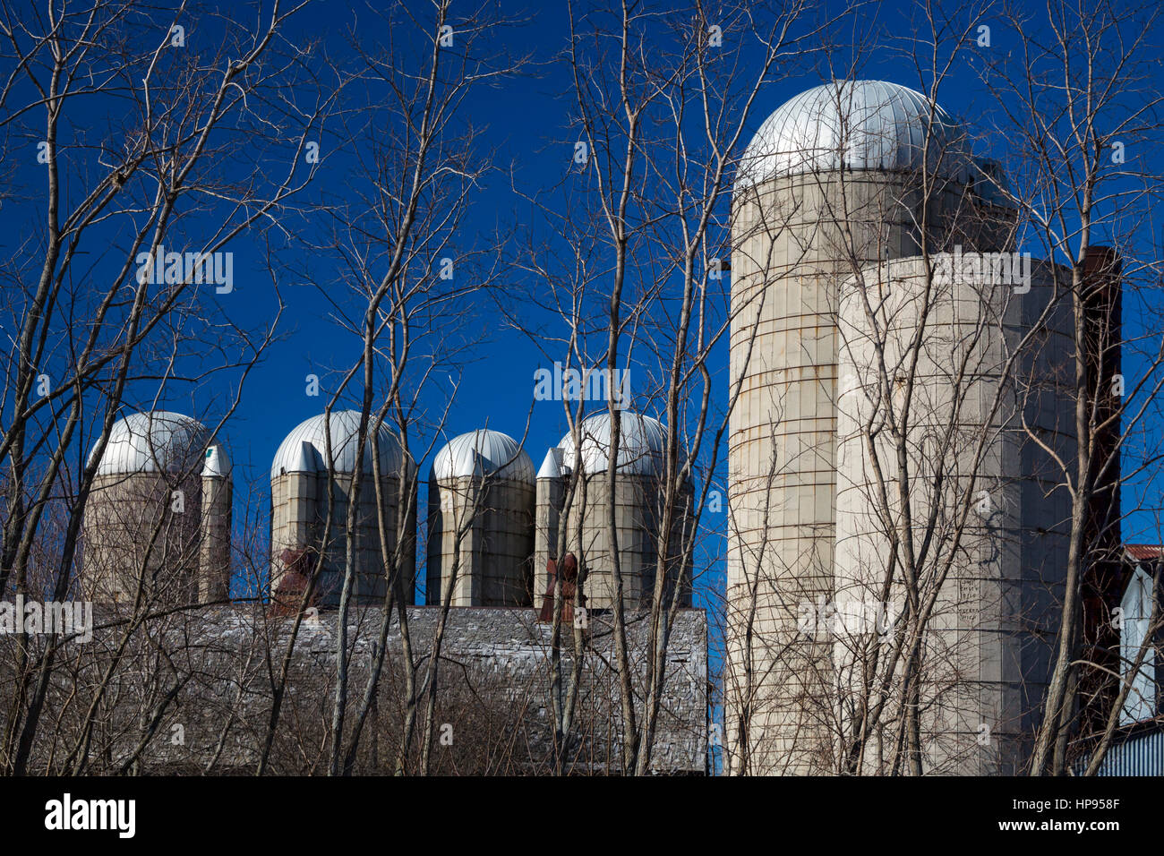Armada, Michigan - Silos sur une ancienne ferme. Banque D'Images