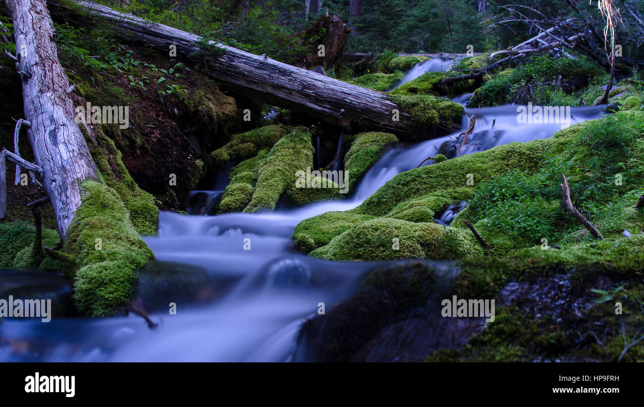 Une exposition longue, Goose Creek, Oregon cascade du lac Moraine. Banque D'Images