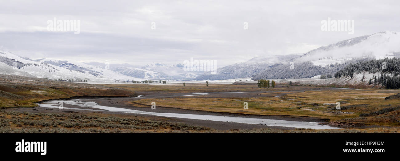Lamar qui traverse Lamar Valley après une chute de neige de l'automne dans le Parc National de Yellowstone, Wyoming, USA Banque D'Images