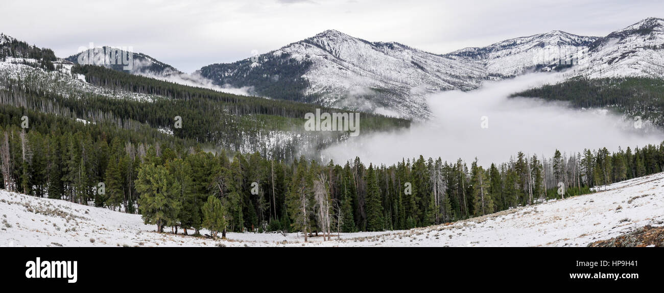 Le brouillard en automne montagnes neige-couvertes dans le Parc National de Yellowstone, Wyoming, USA Banque D'Images