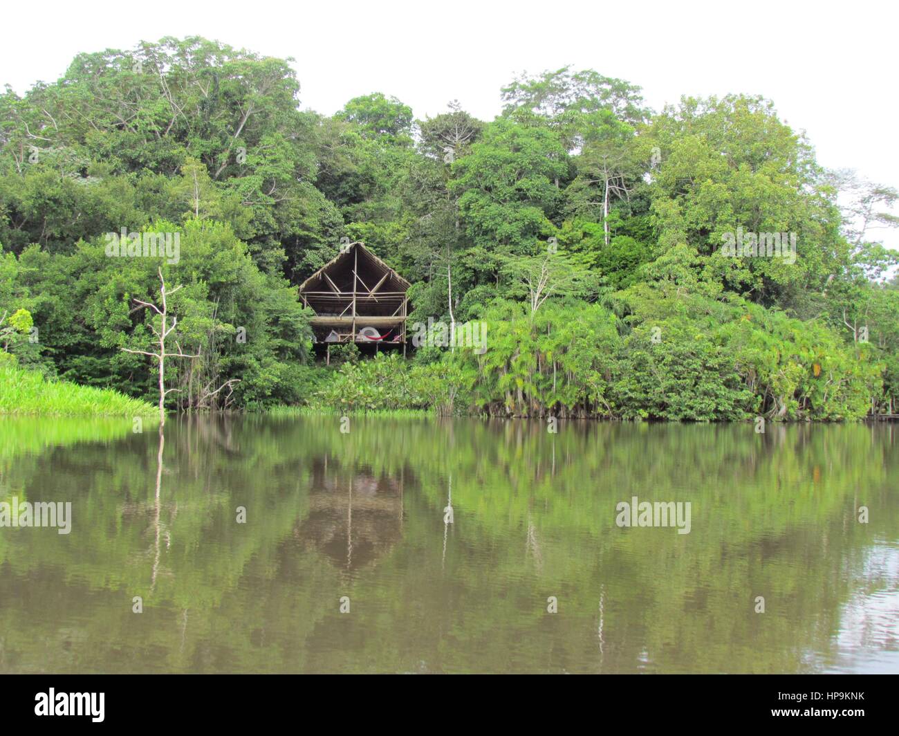 Camping près de la jungle sur la rivière Napo, Equateur Banque D'Images