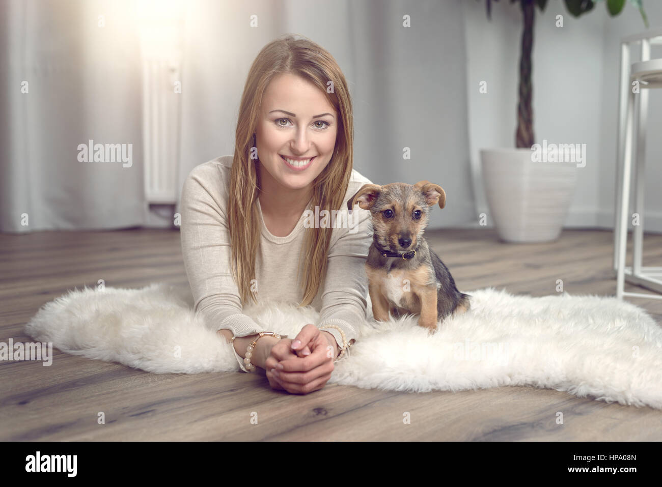 Jolie femme sympa posant avec son petit chien sur un tapis moelleux sur un plancher de bois dans le salon en souriant joyeusement à l'appareil photo Banque D'Images