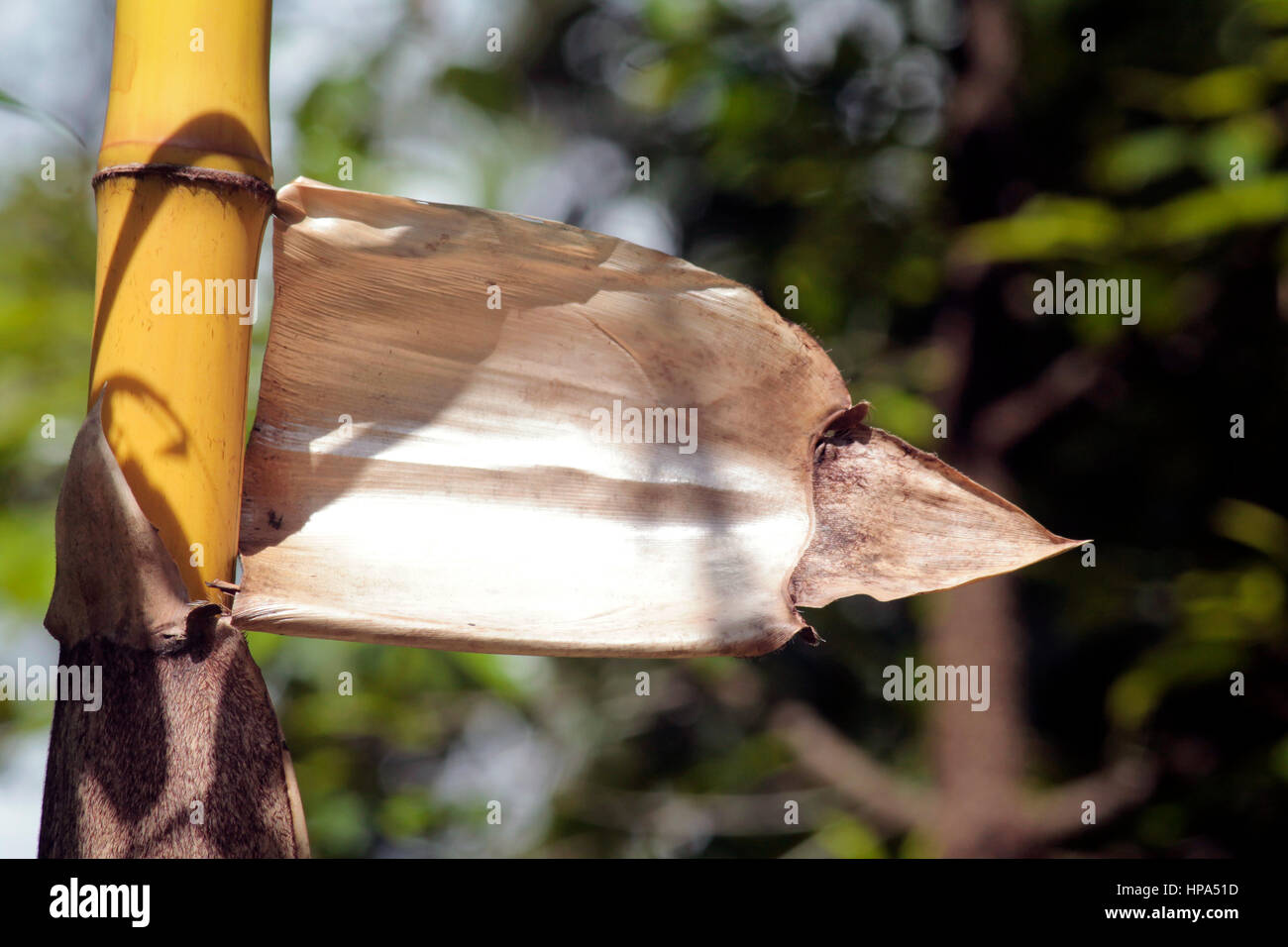 Direction Banque D'Images