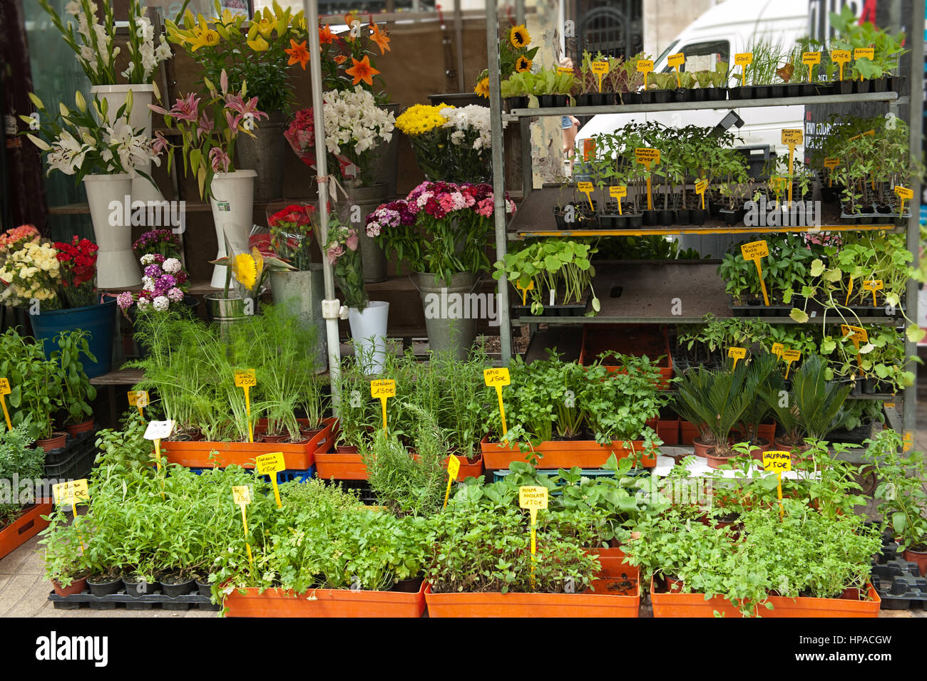 Marché aux fleurs à Barcelone, Espagne Banque D'Images