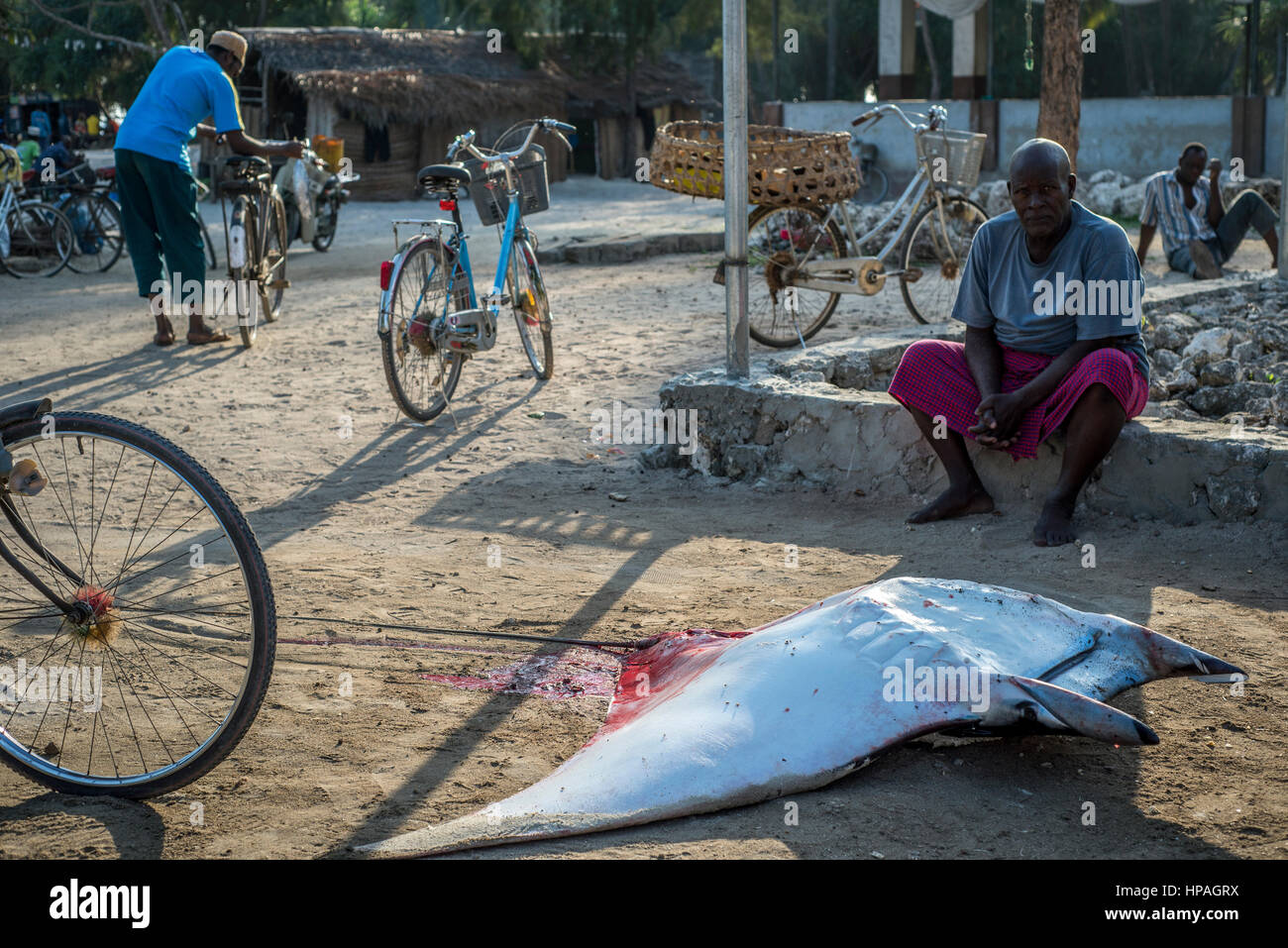 Revendeur de poissons se prépare pour la vente à rayons le marché au poisson de village de Nungwi, Zanzibar. La pêche est l'activité principale de la population locale sur l'île. Ils prennent différents types de poissons, en particulier le thazard, le thon, le marlin, Ray. Il y a quelques endroits où les pêcheurs pour la plupart des prises d'anchois, localement appelés Dagaa. En plus d'utiliser le poisson pour restaurants et hôtels locaux il peut être également vendu à la terre ferme. Banque D'Images