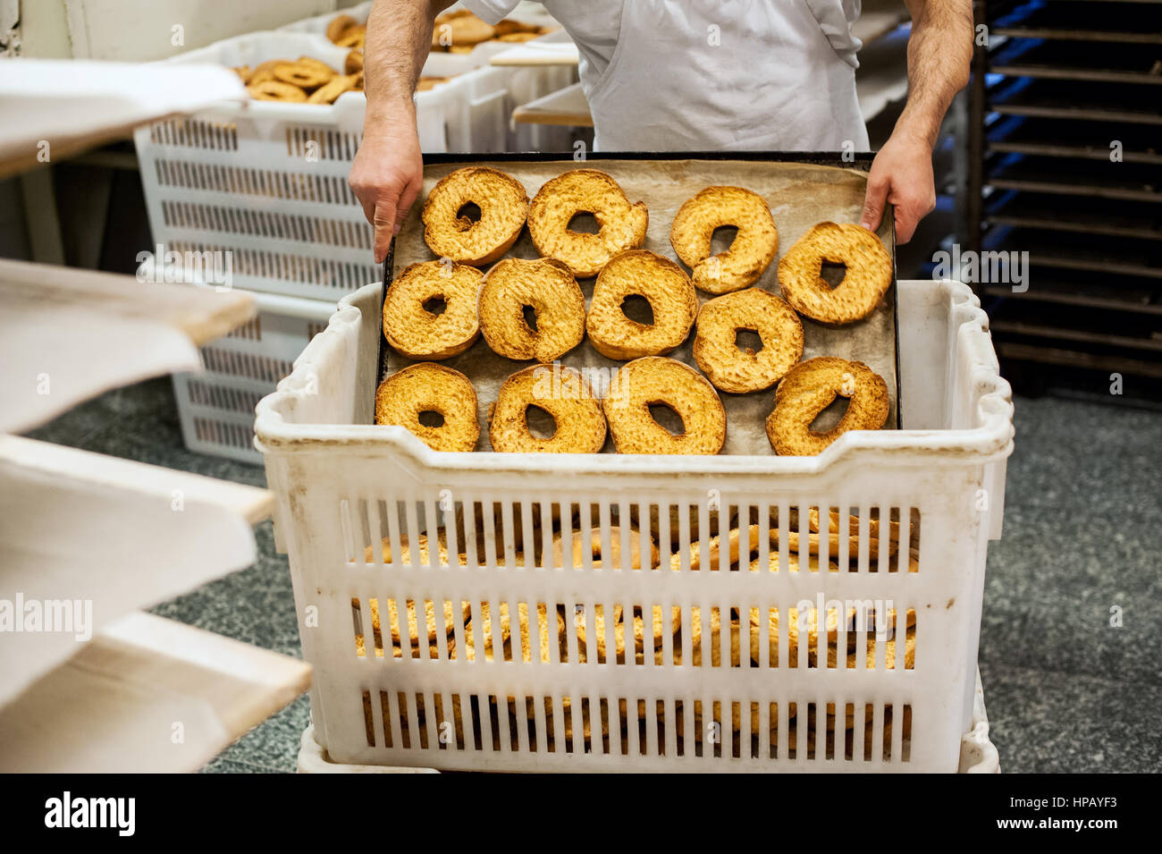 Man putting fresh baked frisella donuts en contenant de plastique blanc Panier dans Italian Bakery Banque D'Images