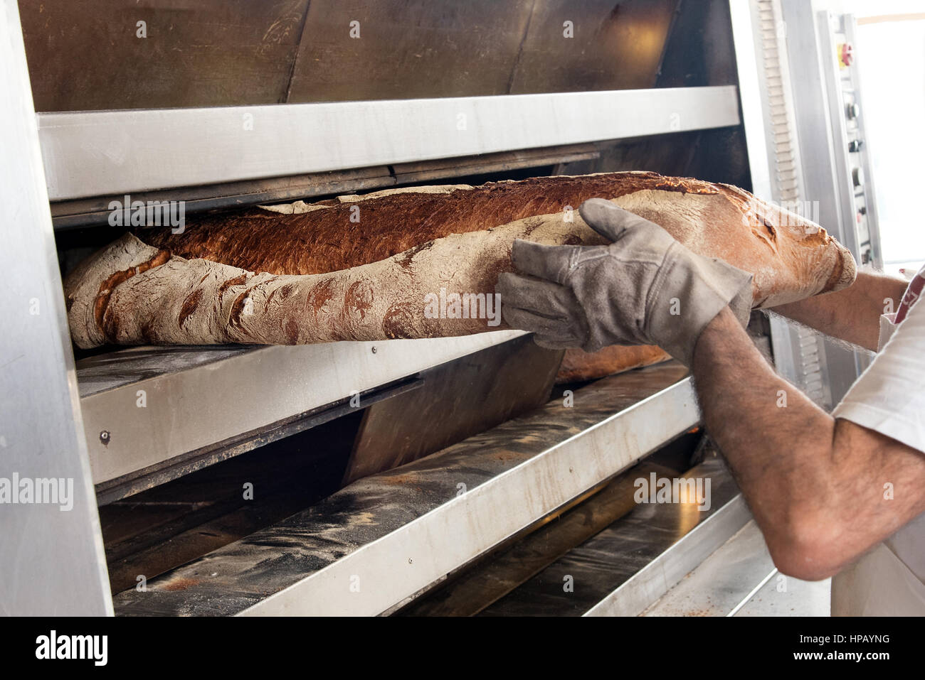 Baker mains en prenant des gants big sex miche de pain brun de fours Banque D'Images