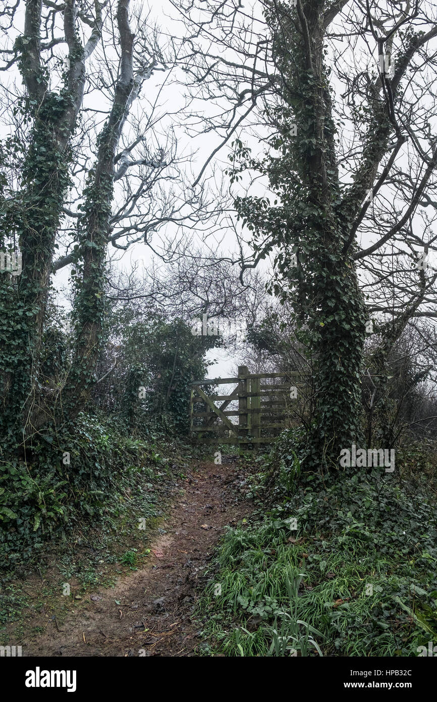 Jour brumeux Sentier Gate Newquay Cornwall UK weather Banque D'Images